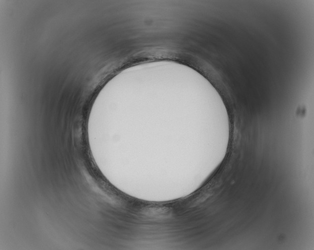 X0000112390202200909241247
