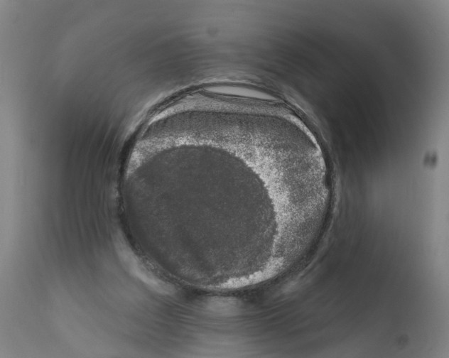 X0000112390203200909241247