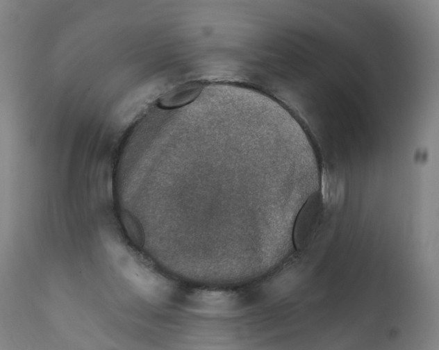 X0000112390205200909241247