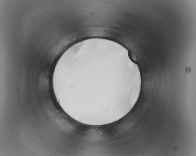 X0000112390207200909241247