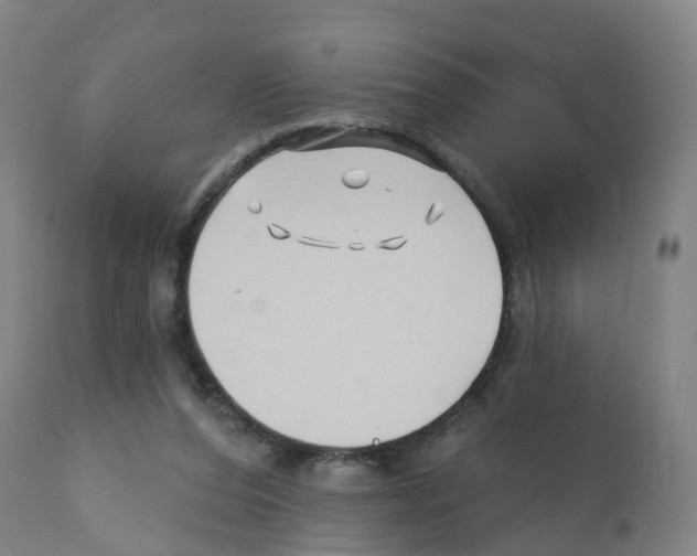 X0000112390208200909241246