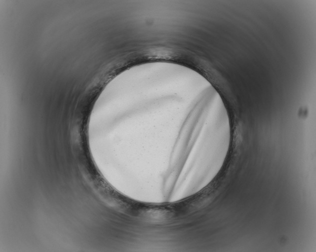 X0000112390209200909241246