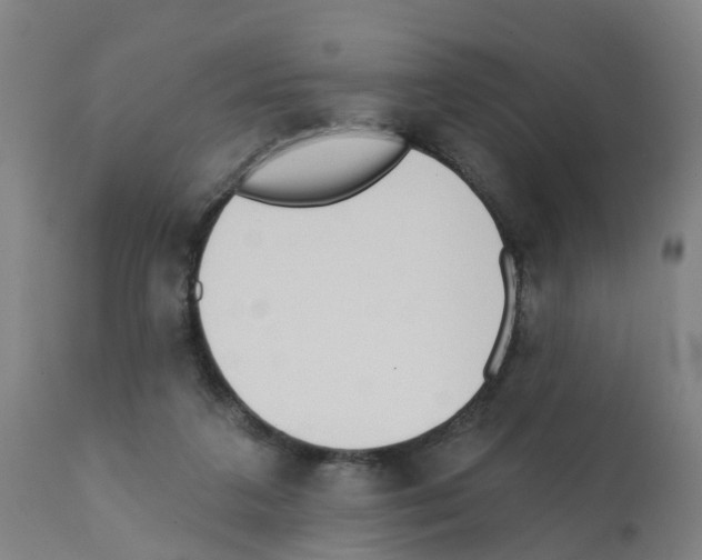 X0000112390211200909241246