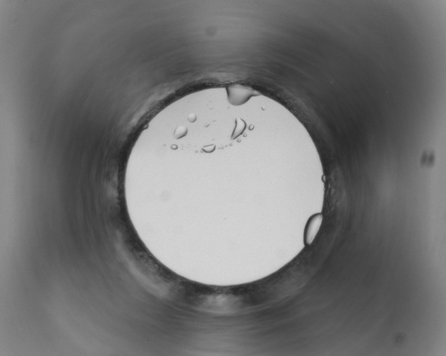 X0000112390212200909241246