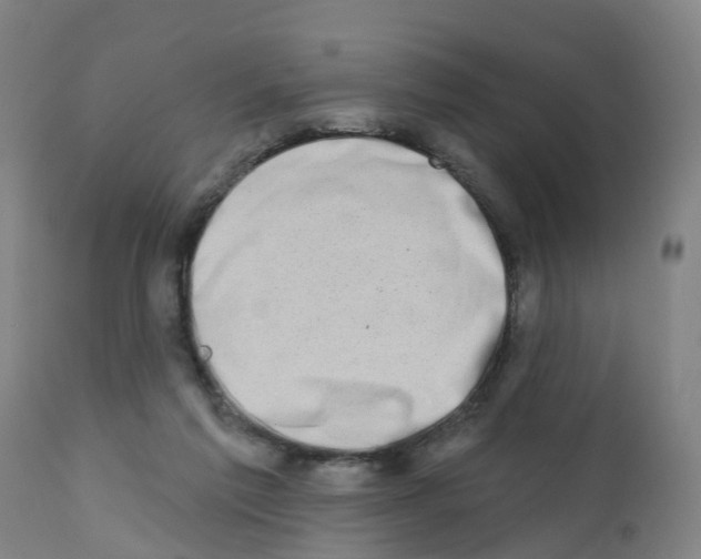 X0000112390213200909241246