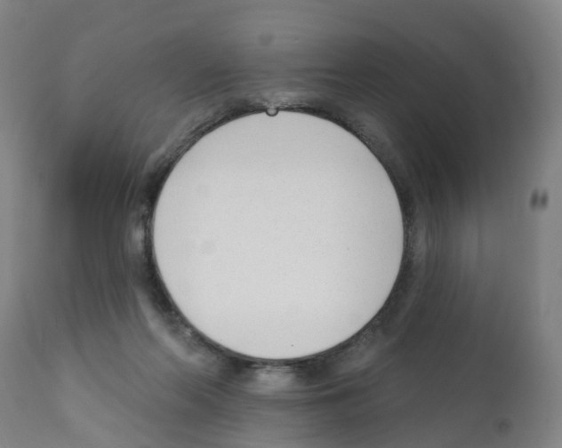 X0000112390214200909241246