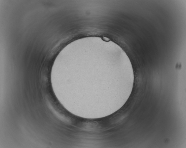 X0000112390215200909241246