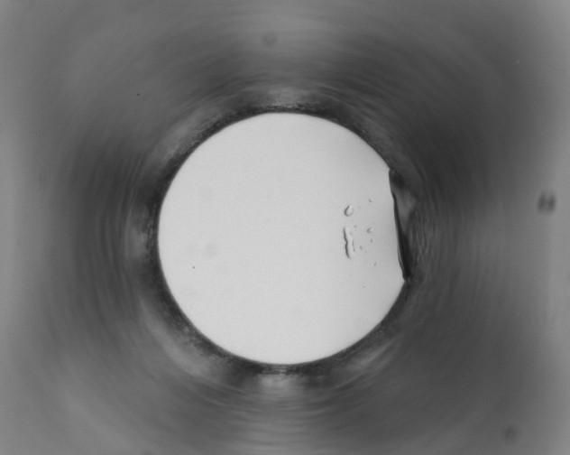X0000112390216200909241246
