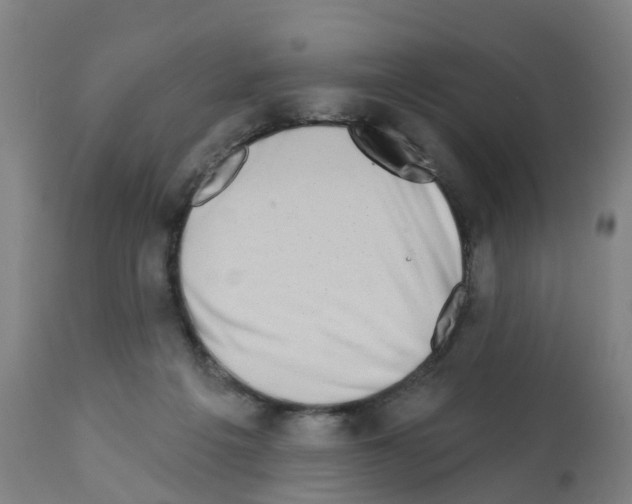 X0000112390217200909241246