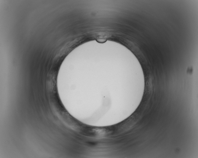 X0000112390218200909241246