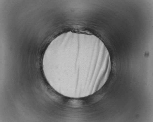 X0000112390221200909241246