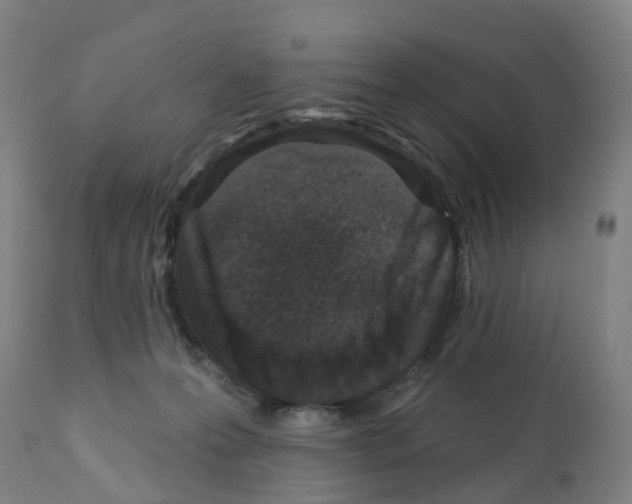 X0000112390223200909241246