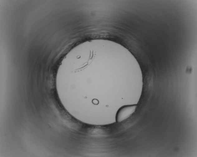 X0000112390224200909241246