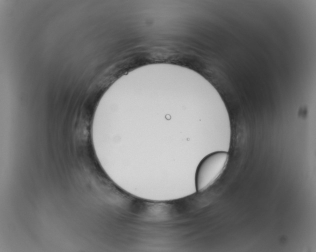 X0000112390226200909241246