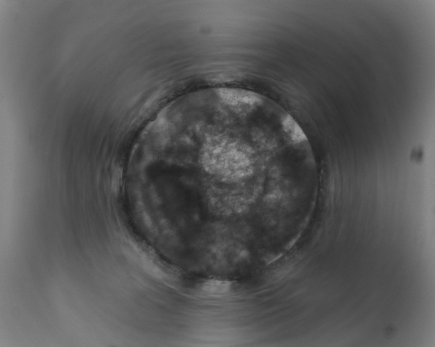 X0000112390227200909241246