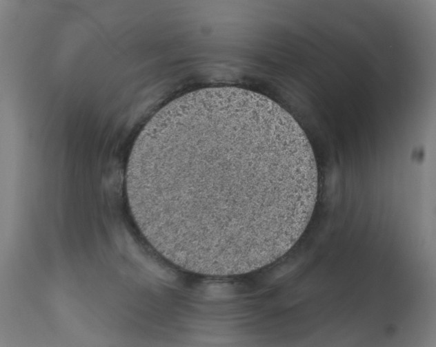 X0000112390228200909241246