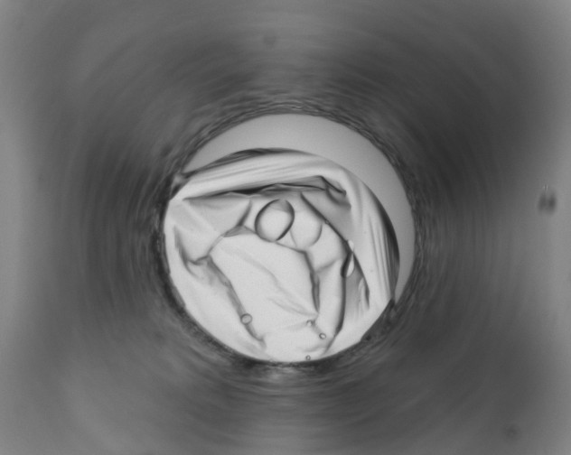 X0000112390229200909241246