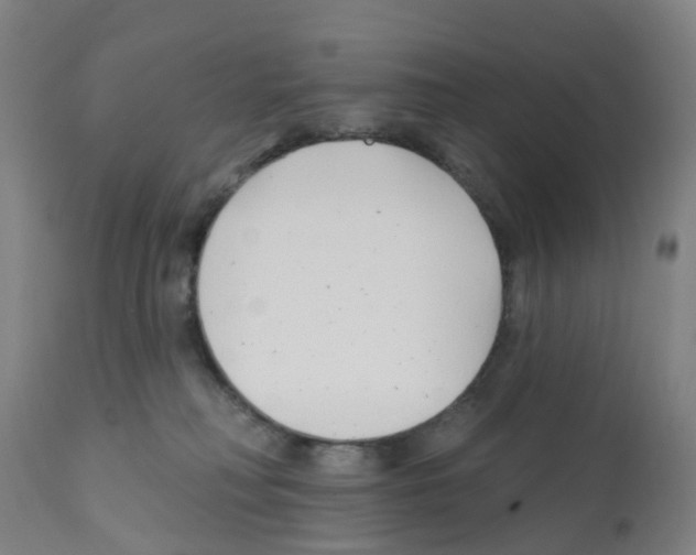 X0000112390230200909241246