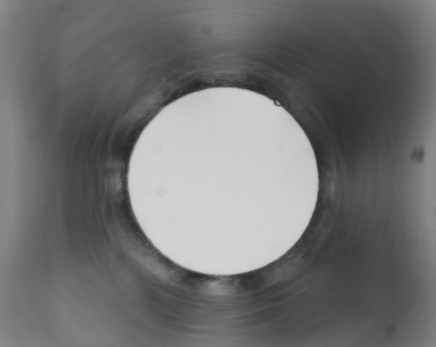 X0000112390232200909241246