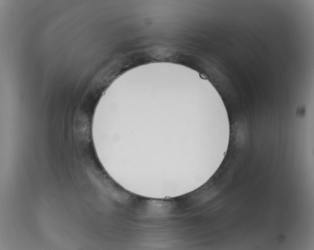 X0000112390234200909241246