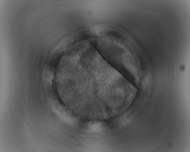 X0000112390235200909241246