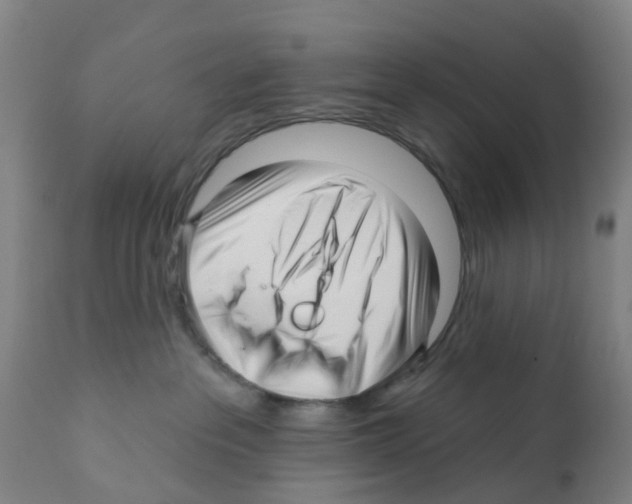 X0000112390237200909241246