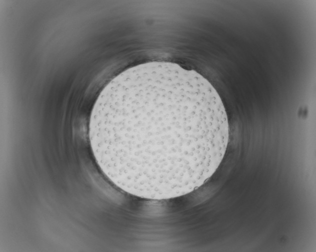 X0000112390238200909241246