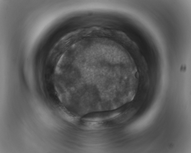 X0000112390239200909241246