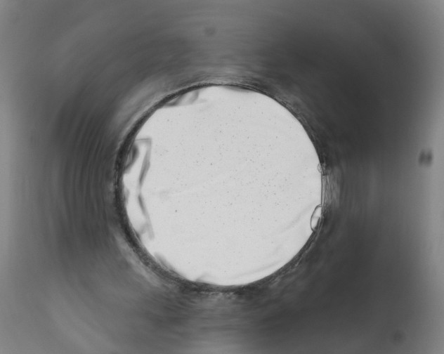 X0000112390243200909241245
