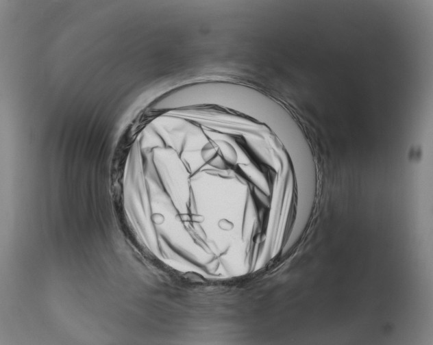 X0000112390244200909241245