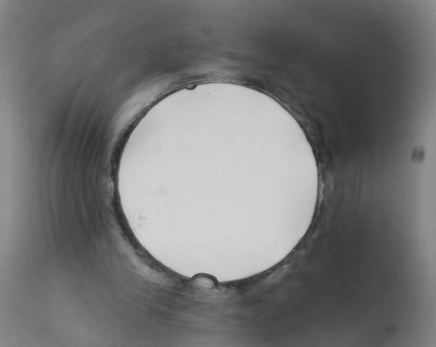 X0000112390245200909241245