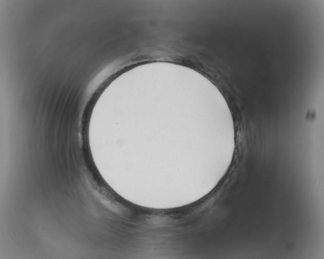 X0000112390246200909241245