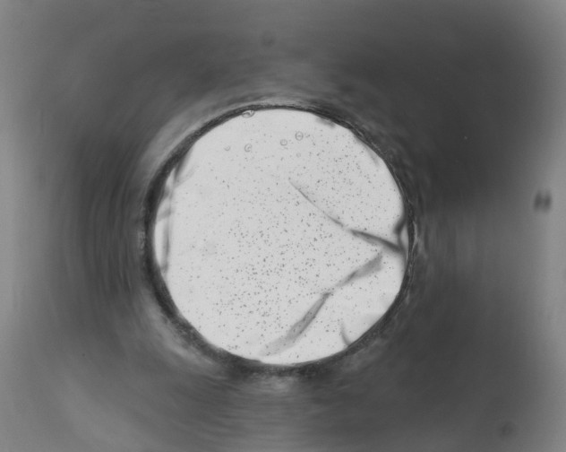 X0000112390247200909241245