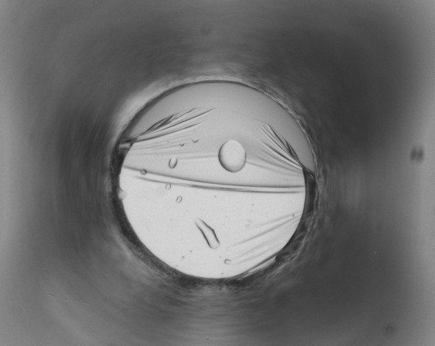 X0000112390248200909241245