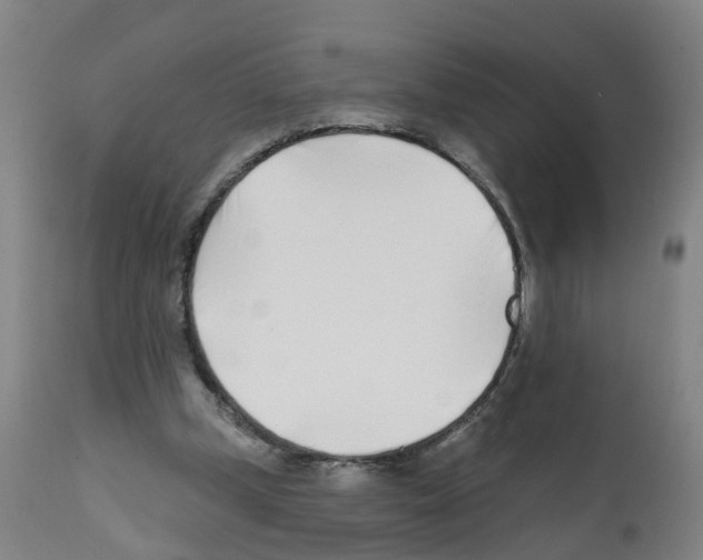 X0000112390249200909241246