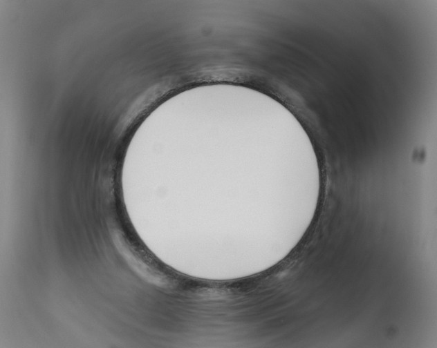 X0000112390250200909241246