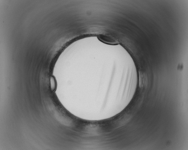 X0000112390252200909241246