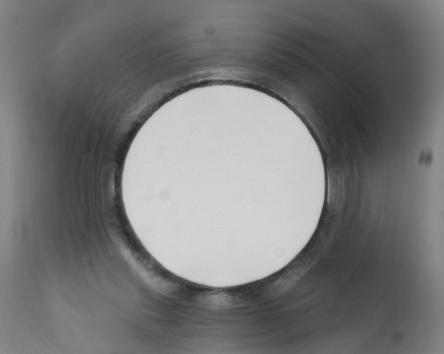 X0000112390253200909241246