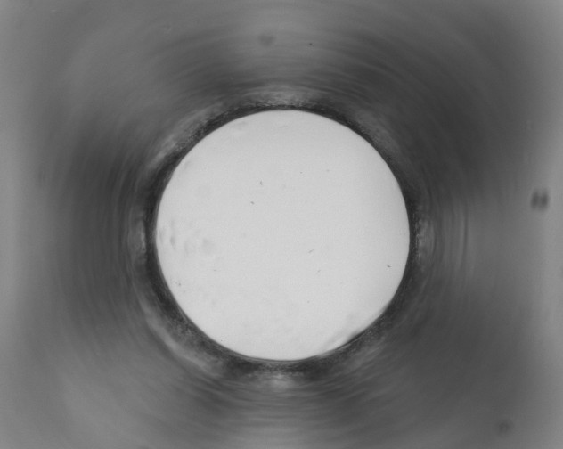 X0000112390254200909241246