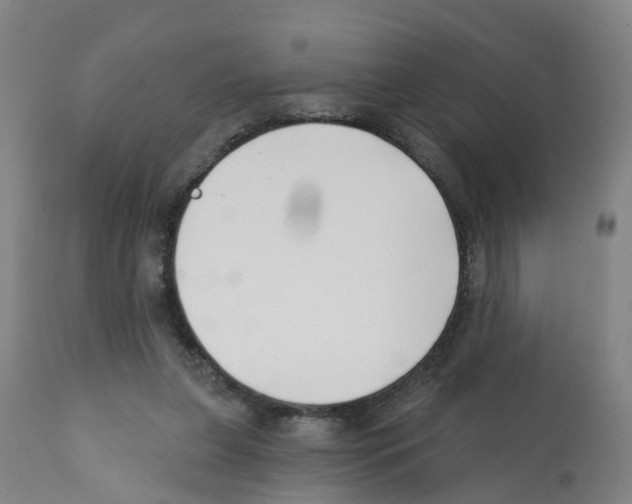 X0000112390255200909241246