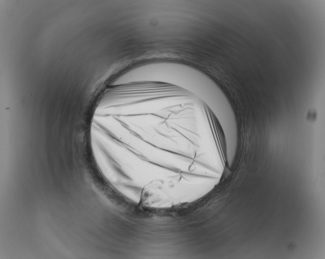 X0000112390256200909241246