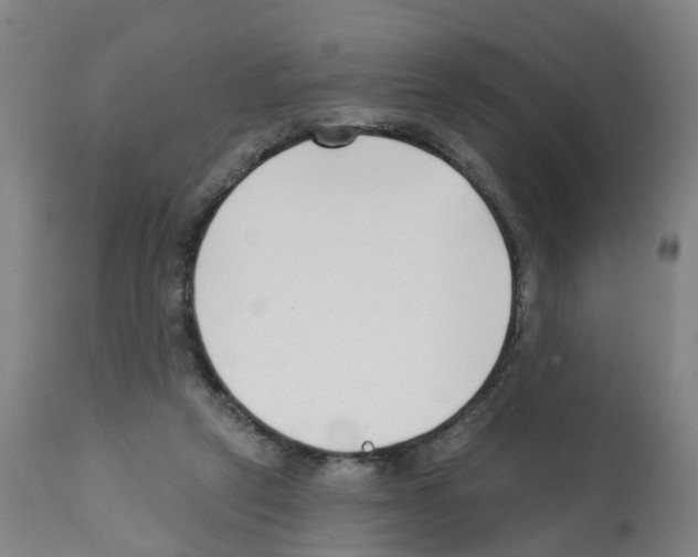 X0000112390257200909241246