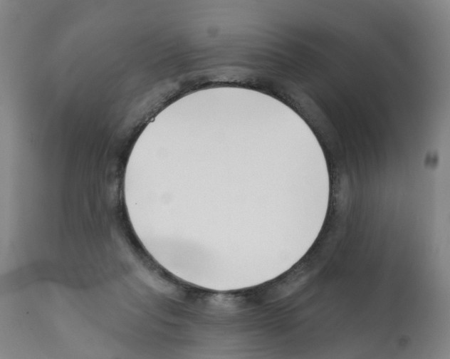 X0000112390261200909241246