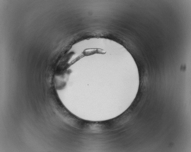 X0000112390268200909241246