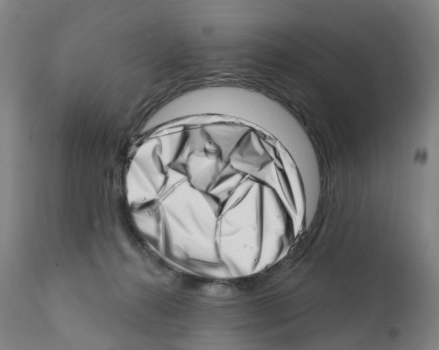 X0000112390272200909241246