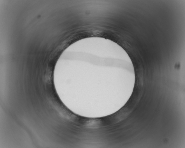 X0000112390274200909241246