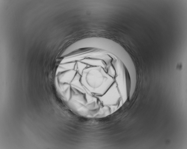 X0000112390276200909241246