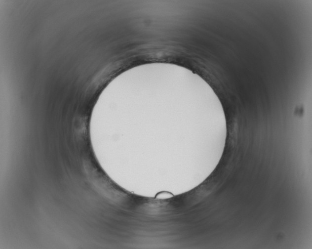 X0000112390278200909241246