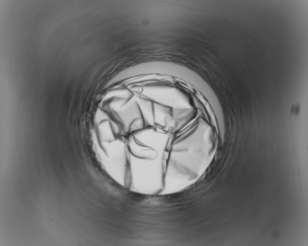 X0000112390280200909241246