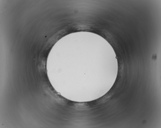 X0000112390281200909241246